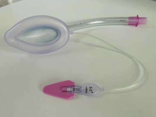 Giá tốt. Mặt nạ quản dùng một lần PVC LMA kích thước 5.0 trực tuyến